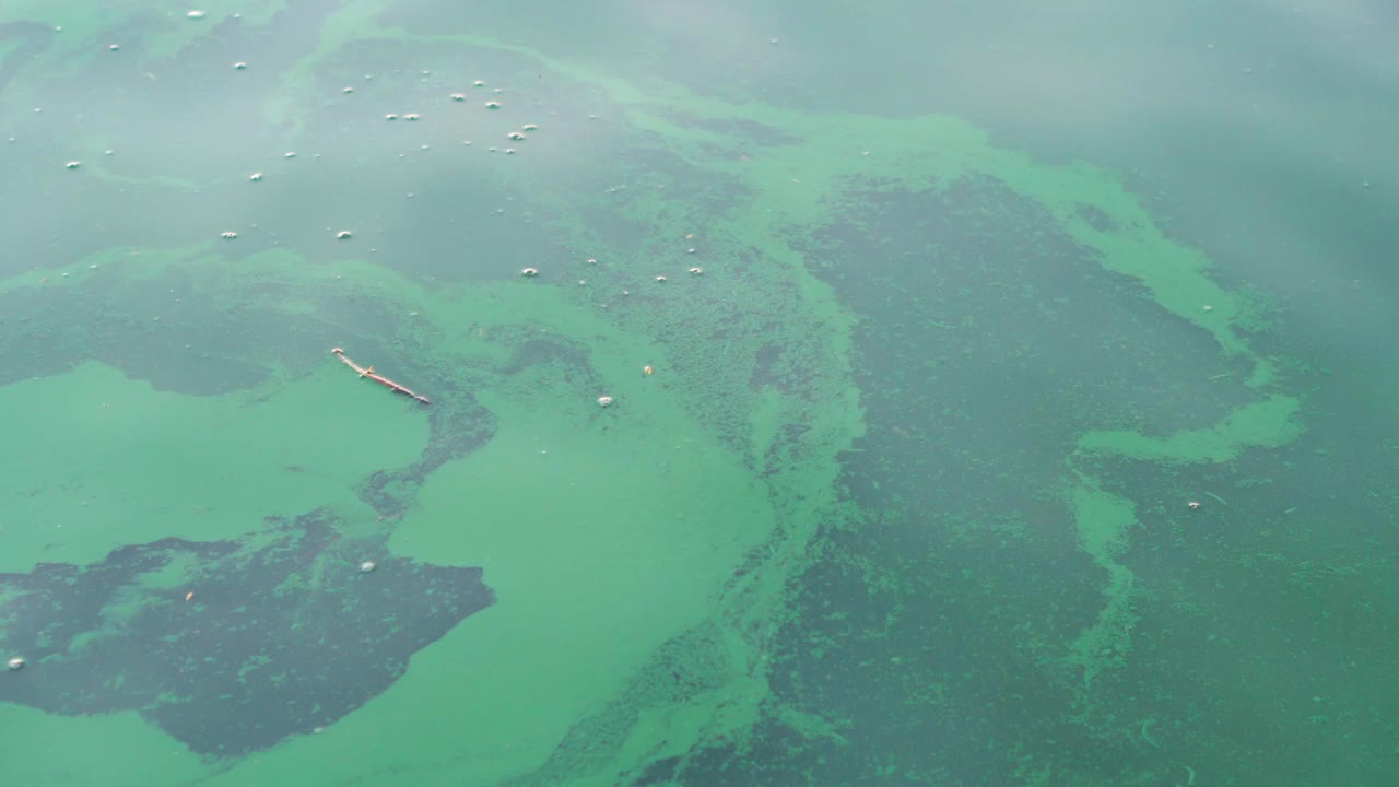 被化学污染的水的特写镜头。高质量4k素材视频素材