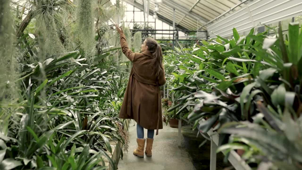 女游客在植物园欣赏和拍摄美丽的植物视频下载
