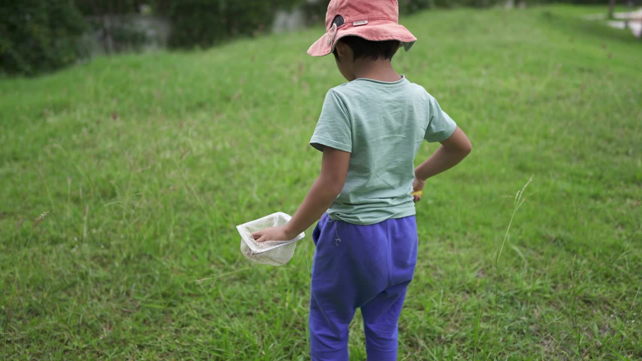 亚洲男孩探索自然界的植物和昆虫生活视频素材