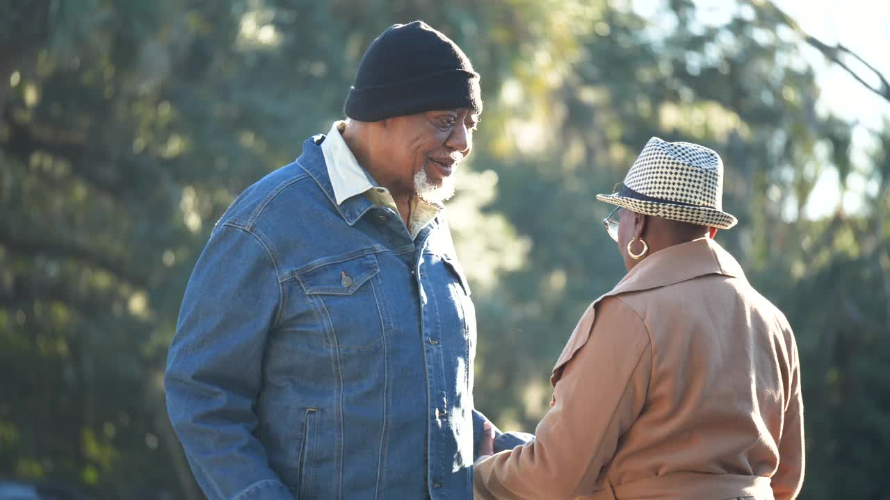 一对非洲裔老夫妇在阳光明媚的日子里在公园散步视频素材
