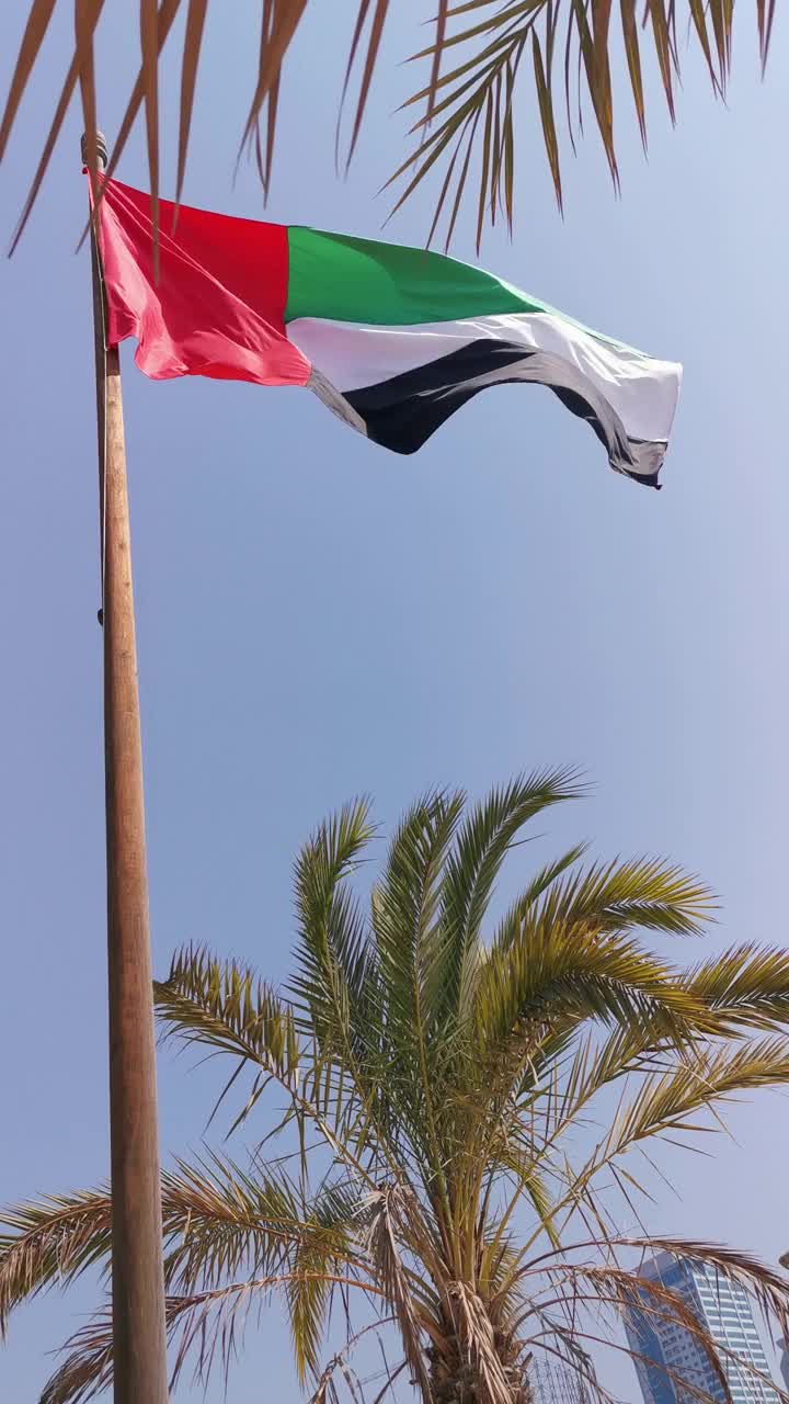 垂直视频的阿拉伯联合酋长国国旗视频素材