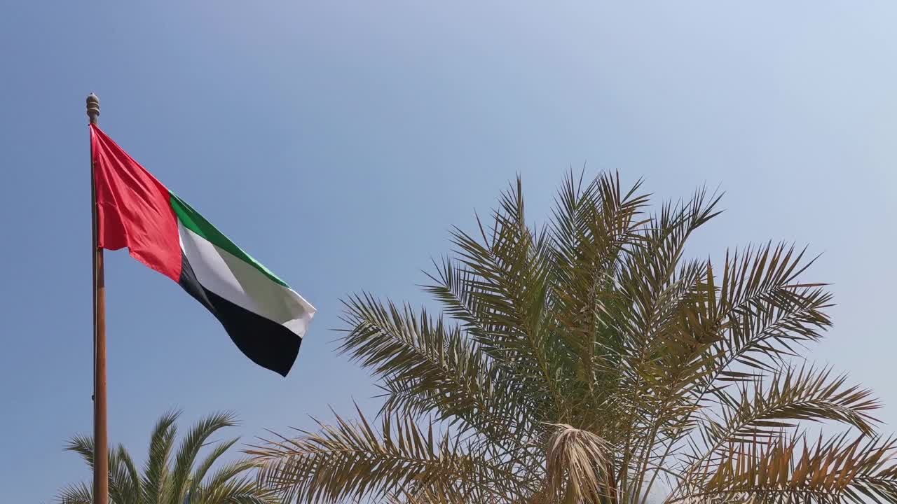 阿拉伯联合酋长国国旗与枣棕榈叶视频素材