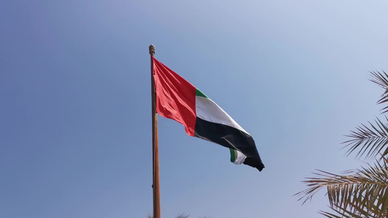 阿拉伯联合酋长国国旗和枣椰树叶子在蓝天的背景下。视频素材