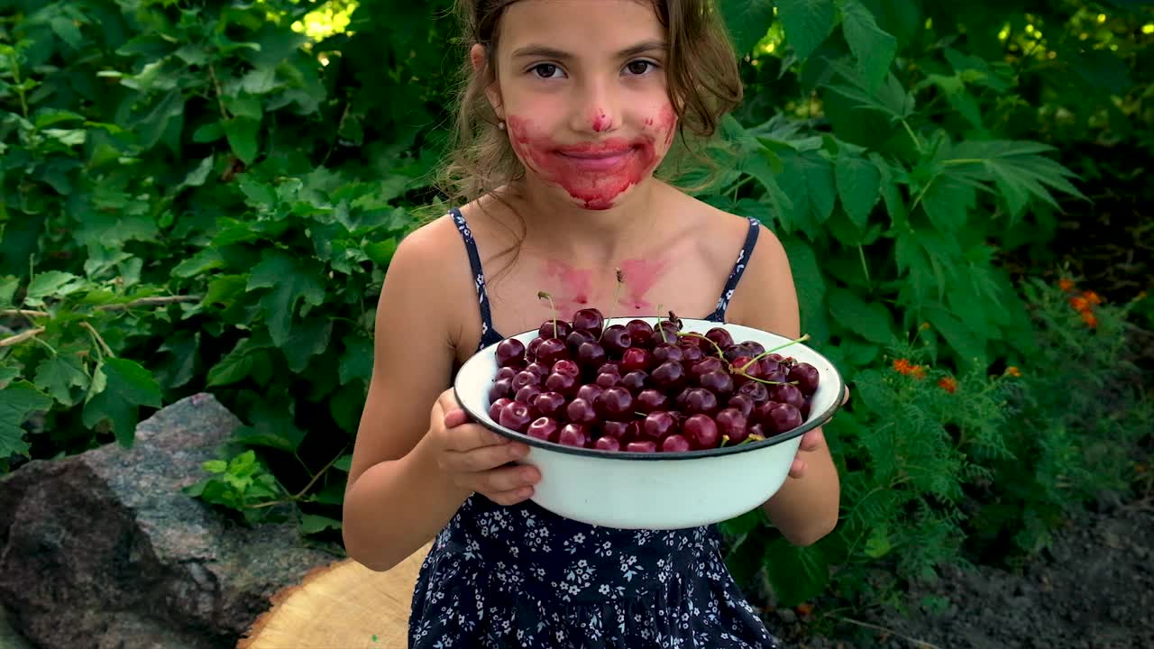 孩子在花园里吃樱桃。有选择性的重点。视频素材