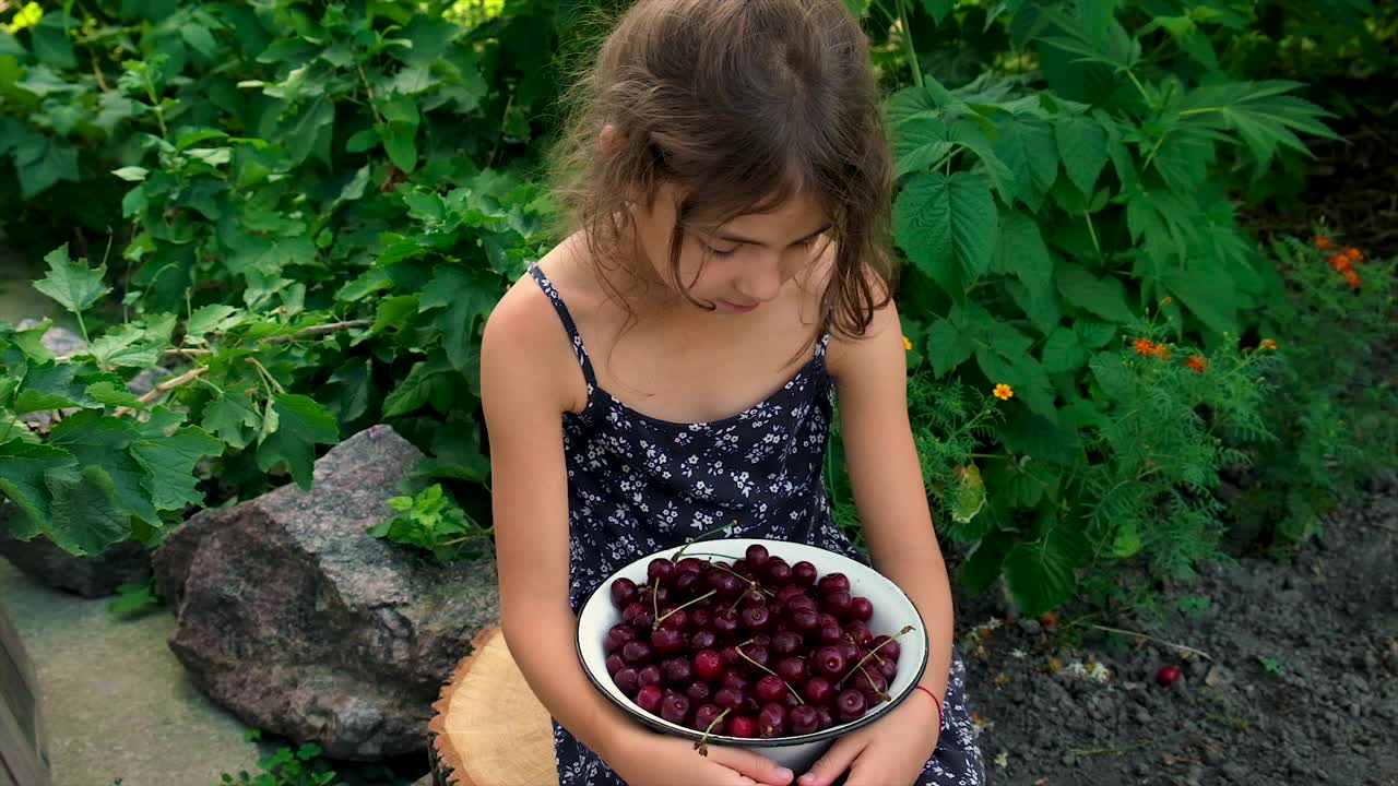 孩子在花园里吃樱桃。有选择性的重点。视频素材