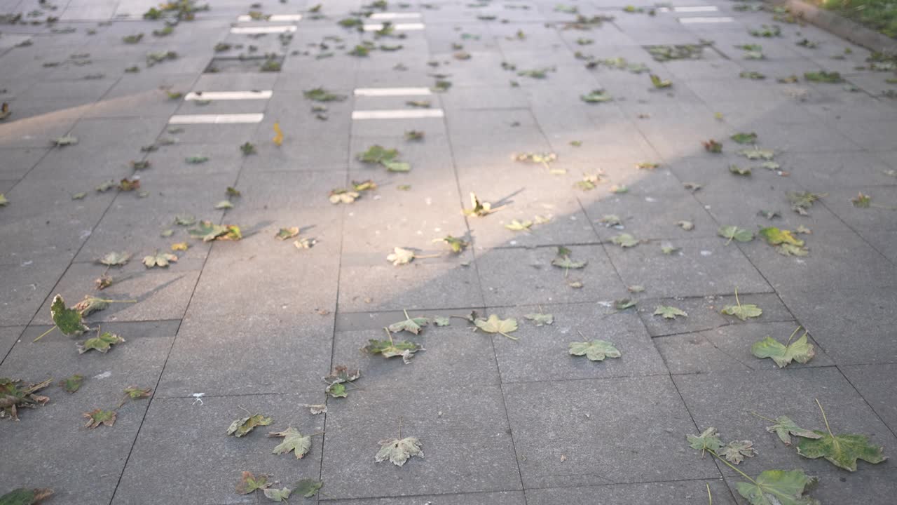 秋天的树叶落在城市中心的人行道瓷砖慢动作视频下载