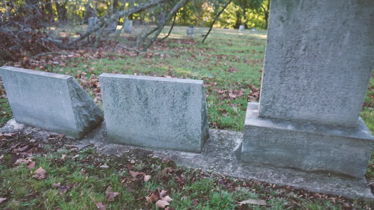 有倒下的树的旧墓地视频素材