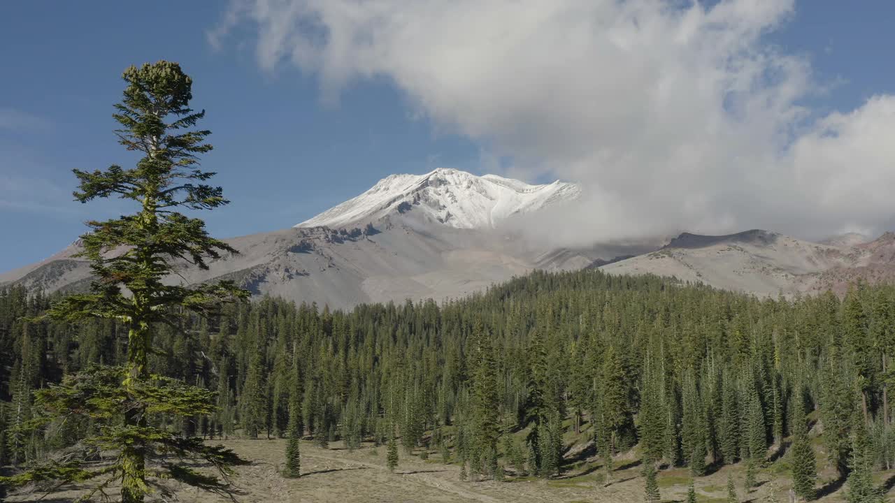 无人机拍摄的加利福尼亚沙斯塔雪峰的航拍画面视频素材