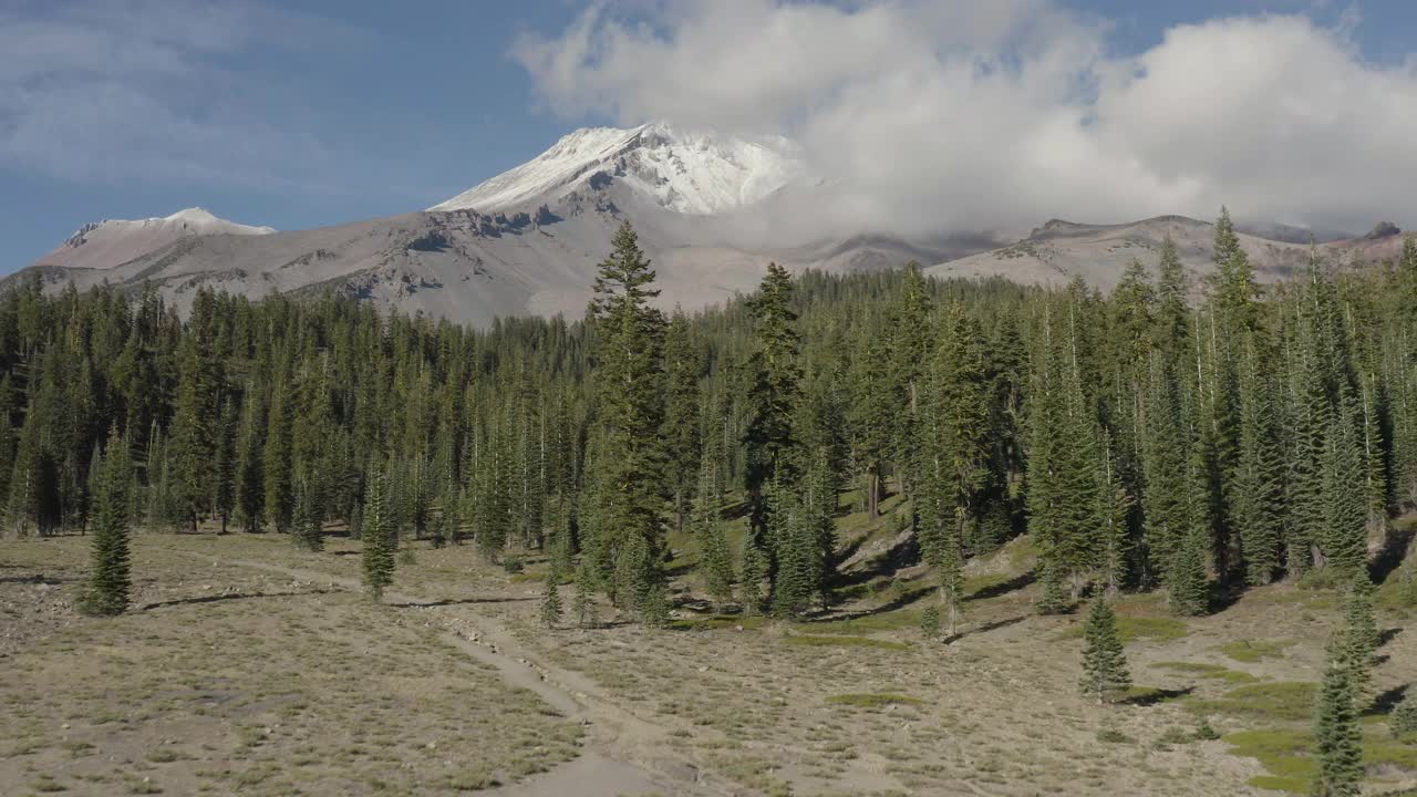 无人机，上升镜头的沙斯塔山被松树林包围在加州视频素材