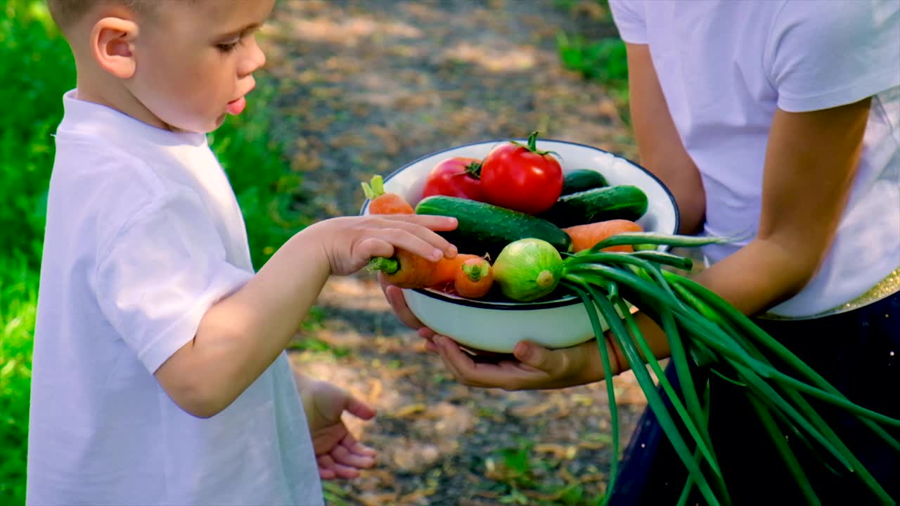 孩子们手里拿着蔬菜。有选择性的重点。大自然。视频素材