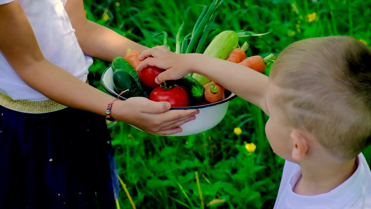 孩子们手里拿着蔬菜。有选择性的重点。大自然。视频素材