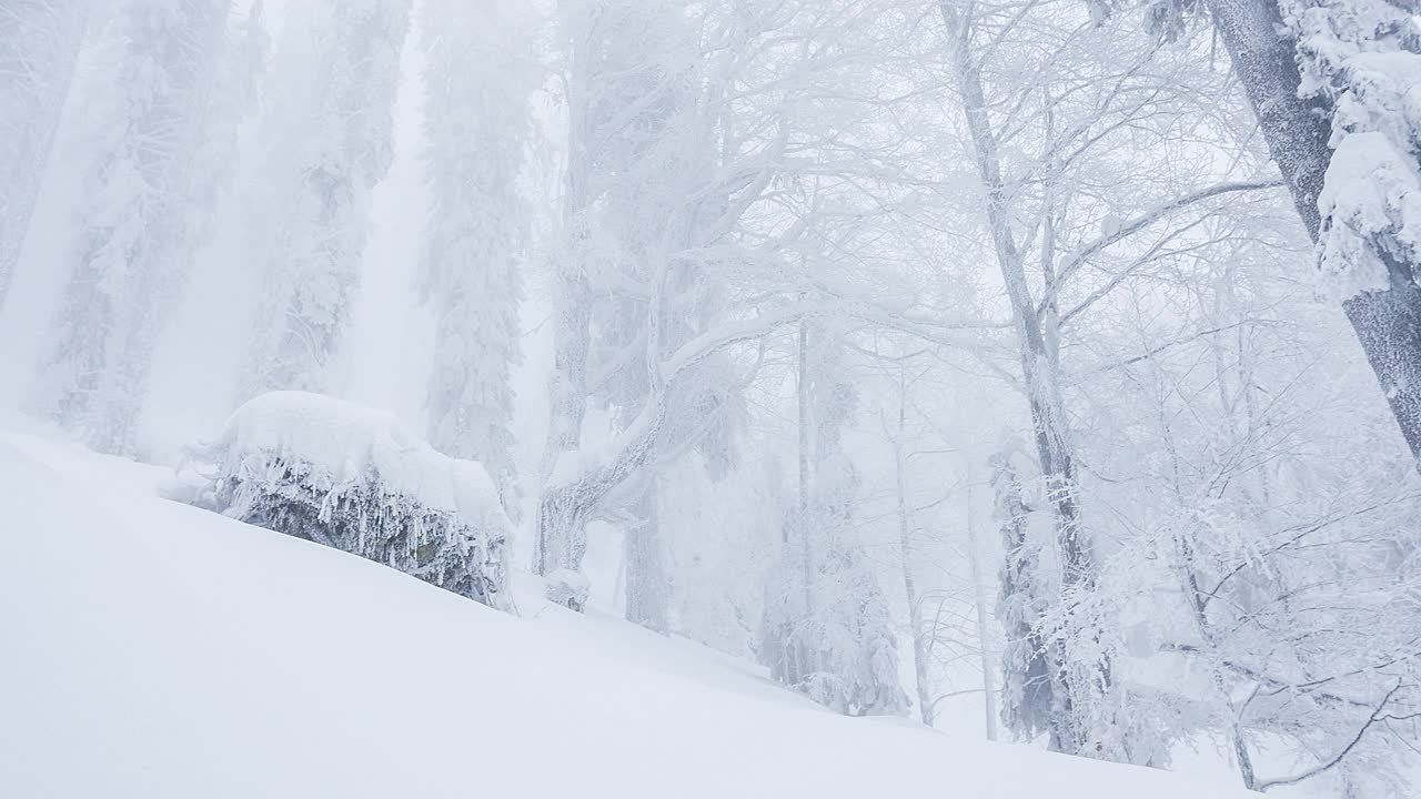 自由滑板者从悬崖上跳下，降落在刚刚落下的雪上，在壮丽的冰冻风景中视频下载