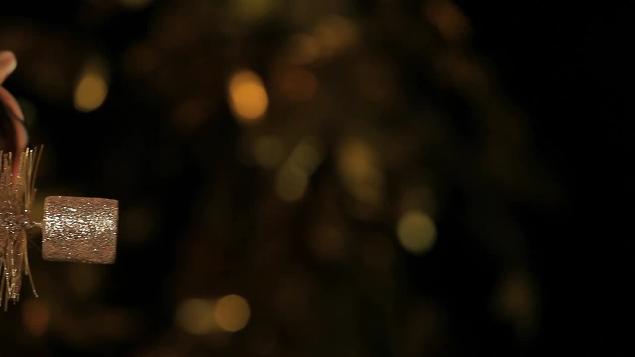 老虎黑暗的背景镜头视频素材