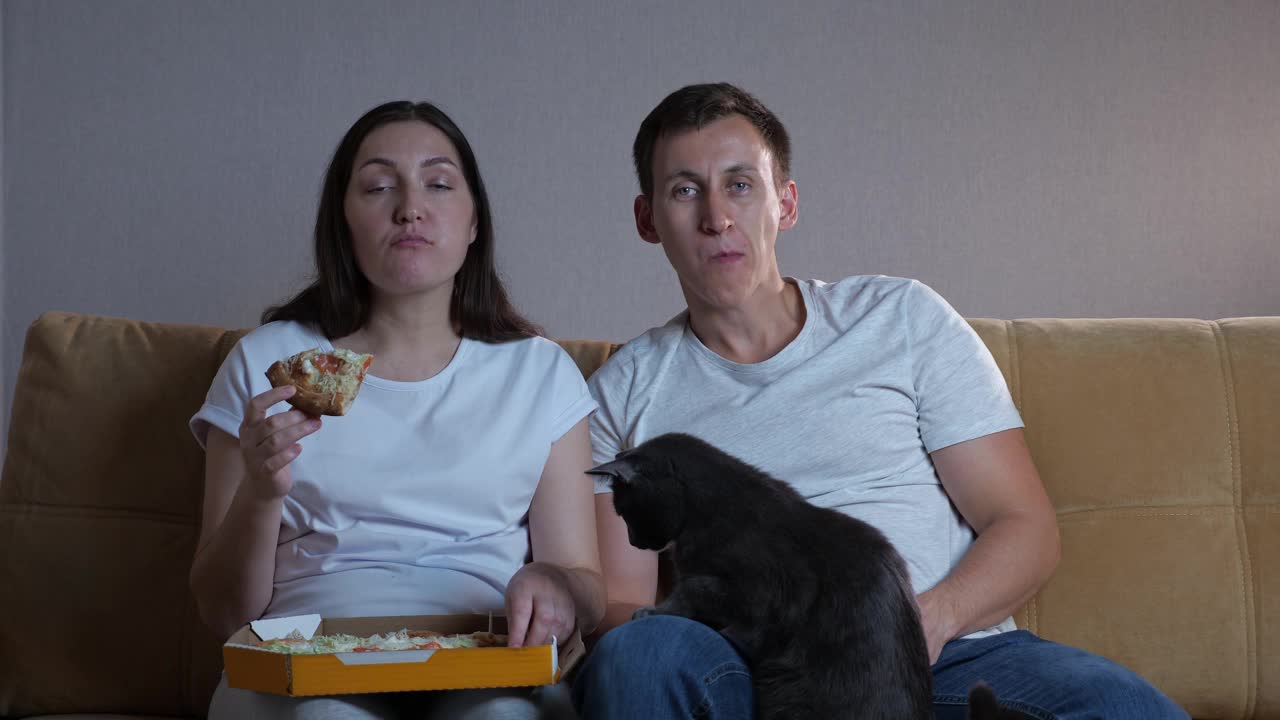 女士坐在沙发上的男人吃披萨喂丈夫和猫视频素材