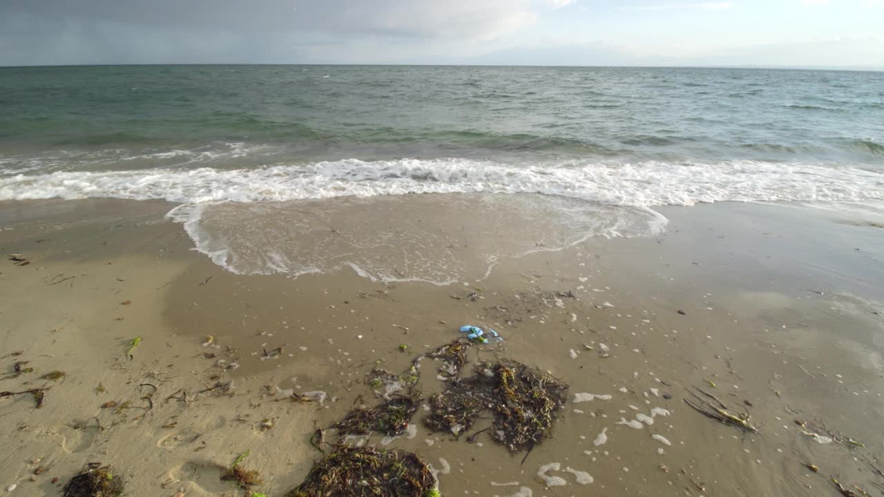 被塑料垃圾污染的沙滩视频素材
