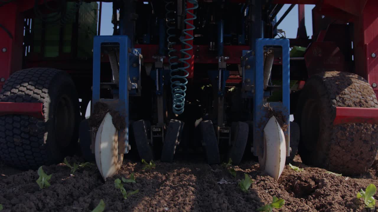 拖拉机和自动种植机在农田种植生菜视频下载