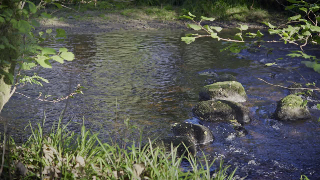 水在苏格兰的一条小河中缓缓流动视频素材