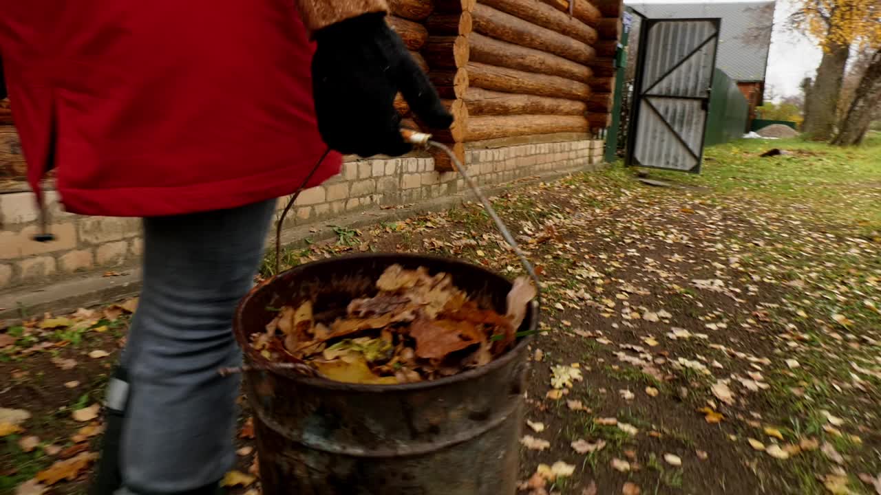 一个穿红夹克的女人从地里移走黄色的落叶。一个女人提着一桶落叶。秋季的家庭视频素材