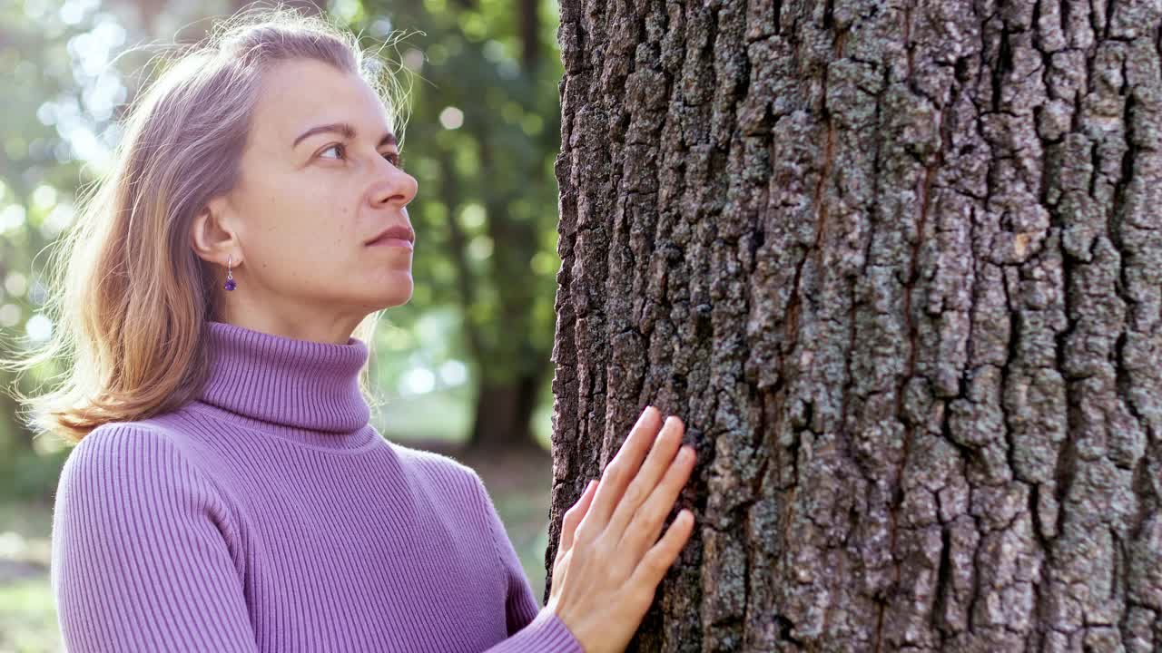 一个女人抱着一棵树在大自然中放松。视频下载