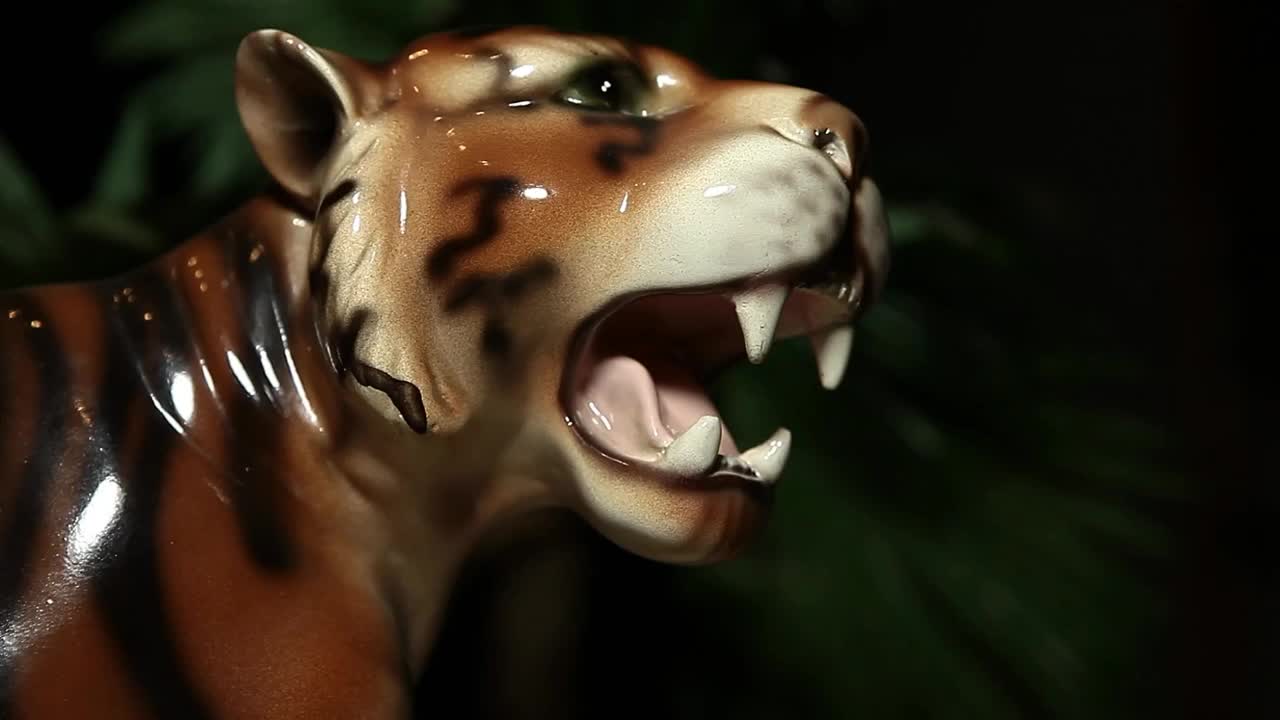 老虎黑暗的背景镜头视频素材