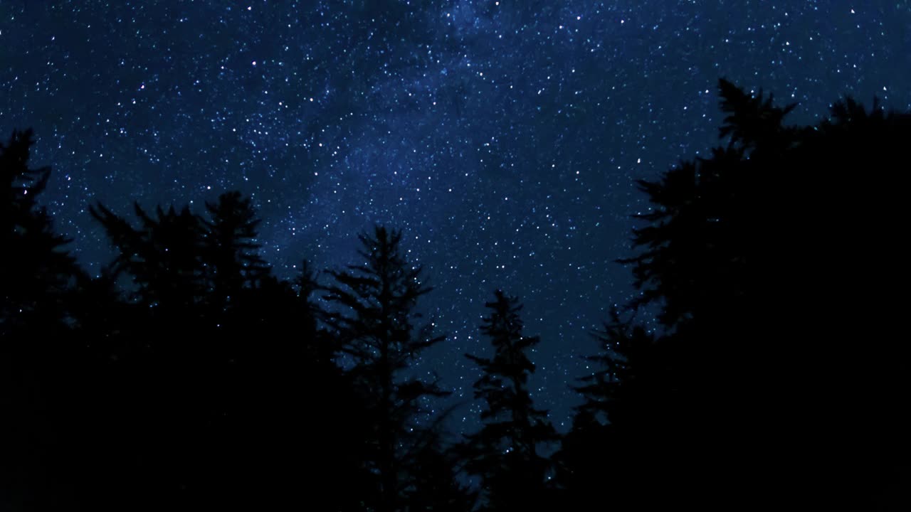 银河和流星在树梢之上视频下载