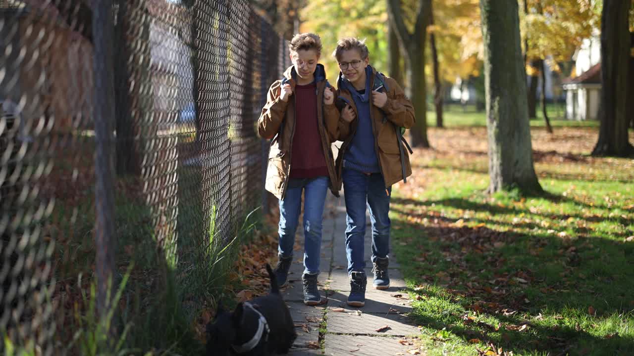 两个男孩在秋天步行上学视频下载