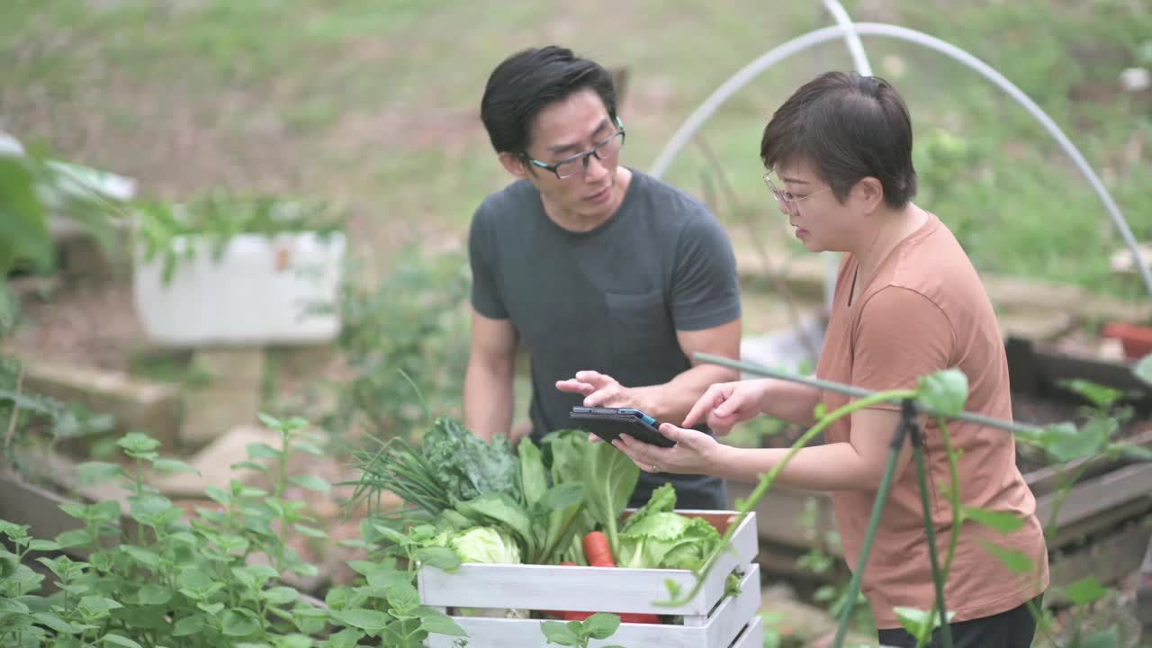 可持续的生活方式亚洲华人中年男子在后院的菜园向他的伴侣展示收获的本地农产品视频素材