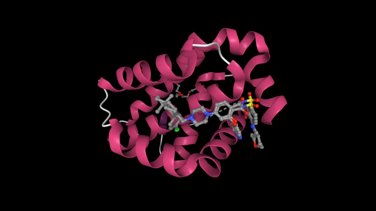 BCL-2与venetoclax配合物的晶体结构。视频下载