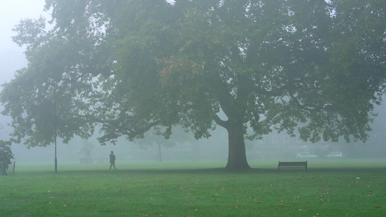 初秋的早晨，雾蒙蒙的伦敦田野视频下载