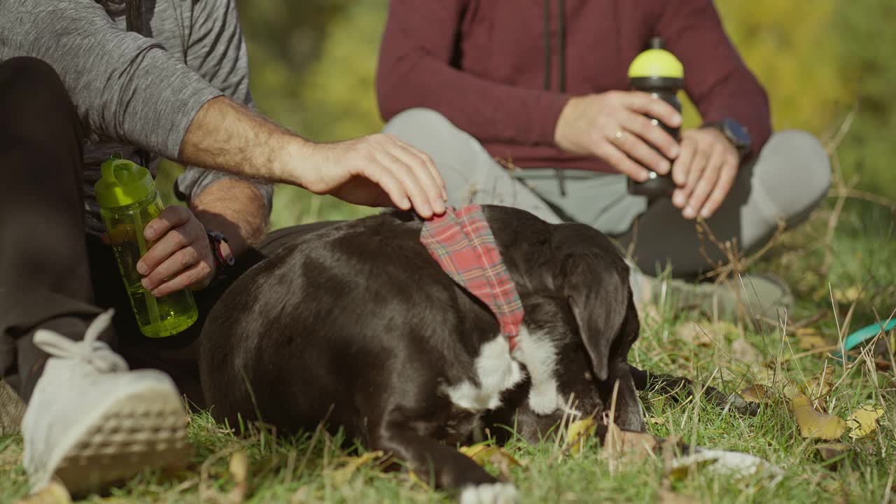 老人抚摸着狗，放松在草地上的自然视频素材