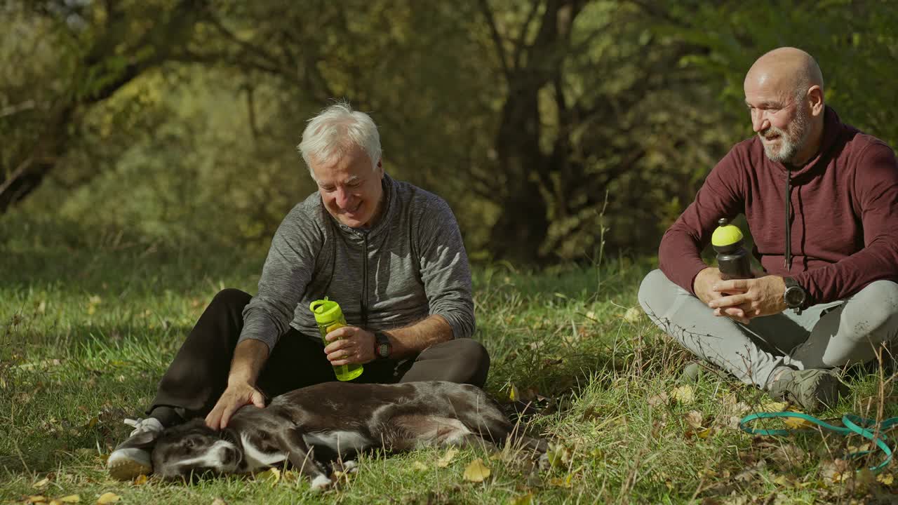老人抚摸着狗，放松在草地上的自然视频素材