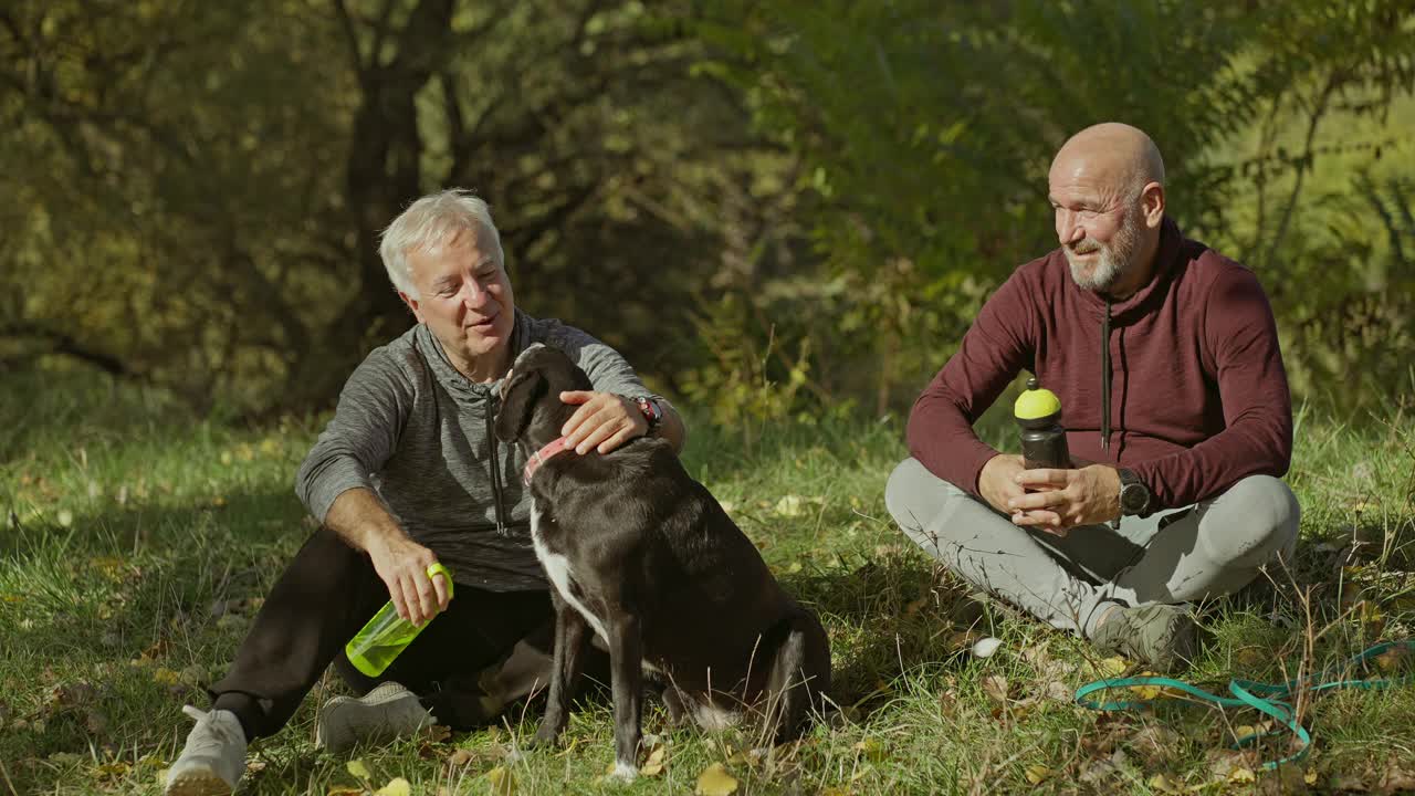 老人与他的狗和朋友在秋天的一天在大自然中享受时光视频素材