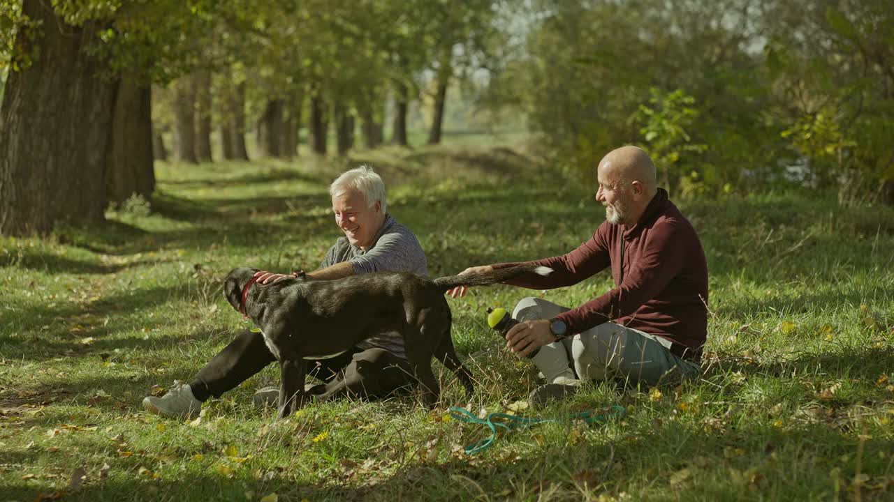 秋日，两名老人和狗狗在大自然中慢跑后坐在草地上视频素材