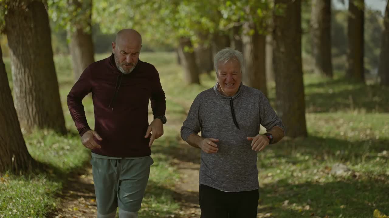 两个年长的朋友在阳光明媚的秋日在大自然中慢跑视频下载