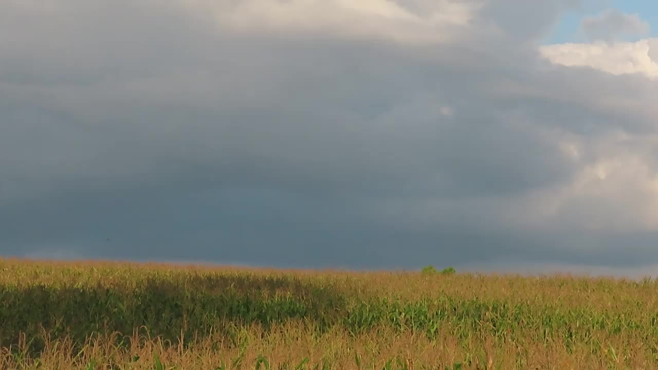 天空和雨云笼罩着农田视频素材