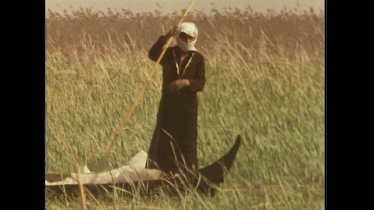 伊拉克，两个人穿过芦苇;1979视频素材