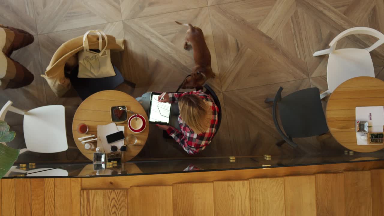 在现代的咖啡店里，现代的年轻女性在她的平板电脑上远程工作视频下载