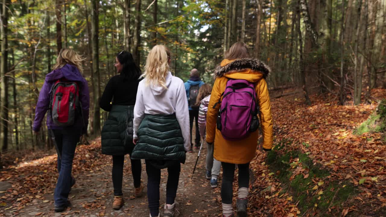朋友们一起在秋天的森林里远足视频素材
