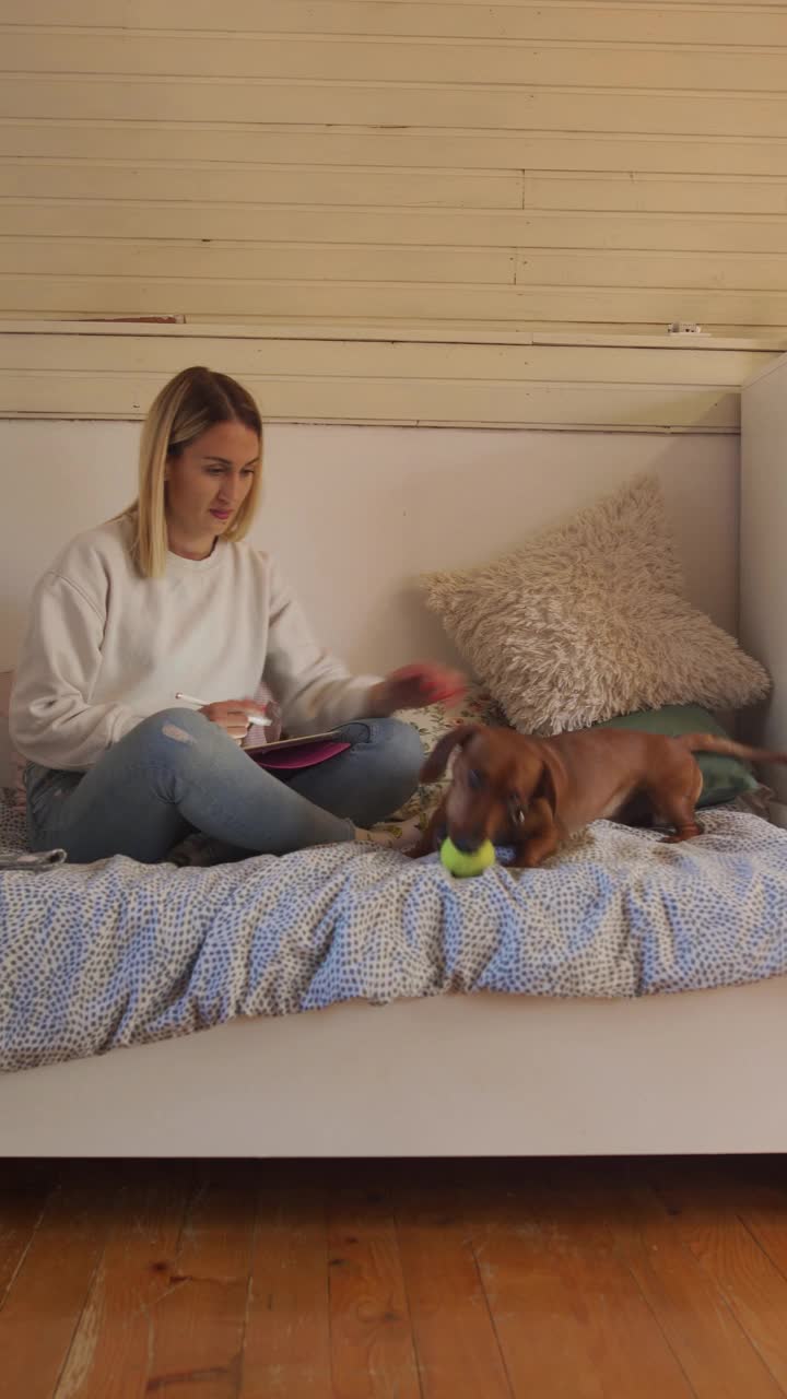 有创意的女狗主人，在家工作，和她的腊肠狗玩耍视频下载