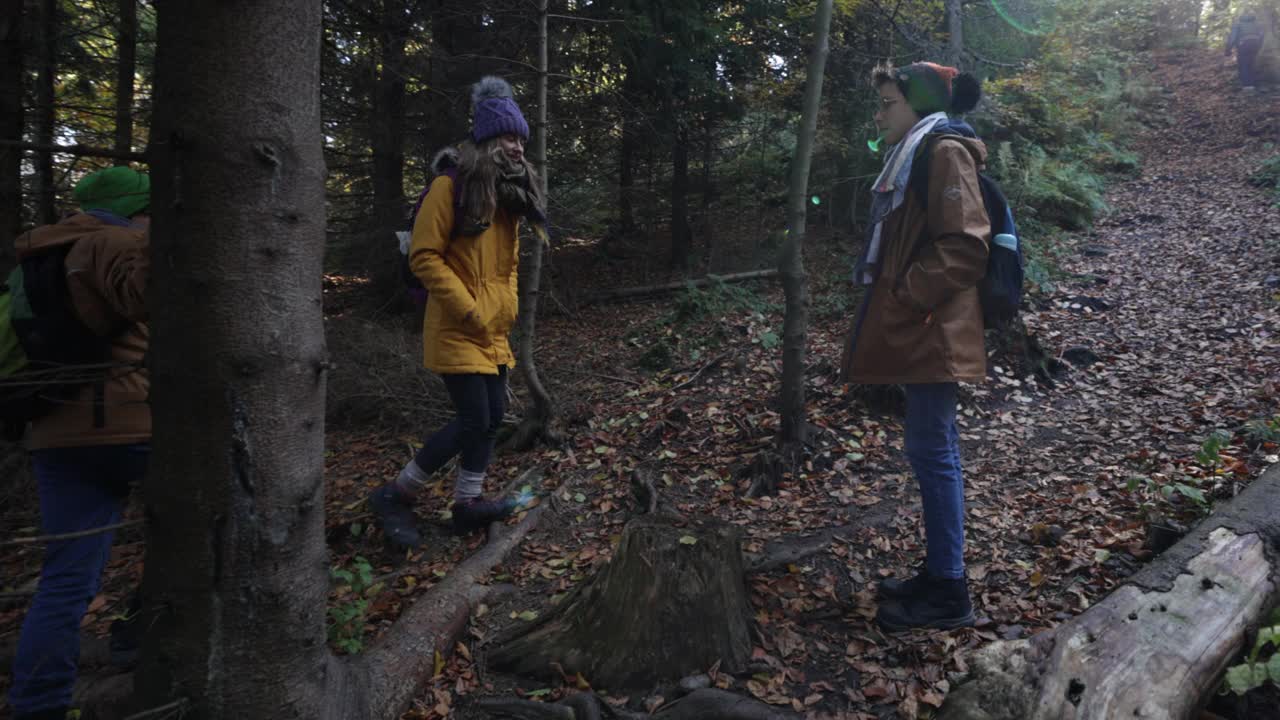 两家人一起在秋天的森林里徒步旅行视频素材