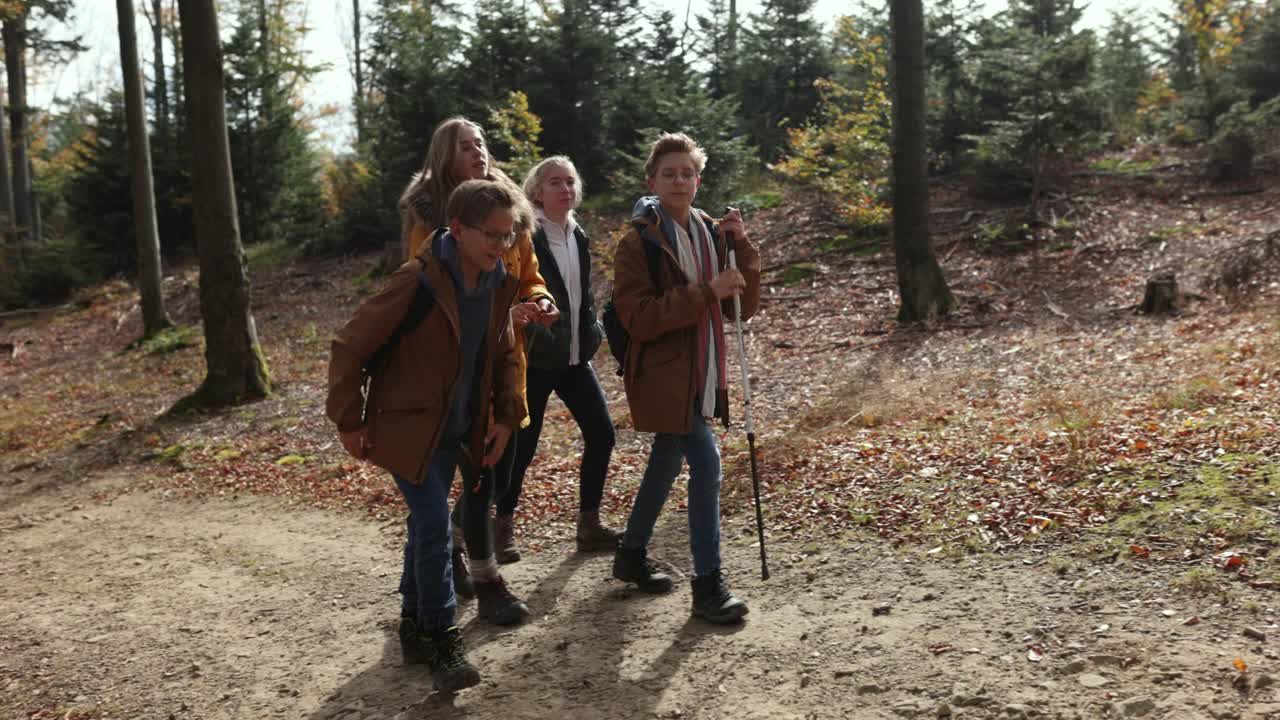 朋友们一起在秋天的森林里远足视频素材