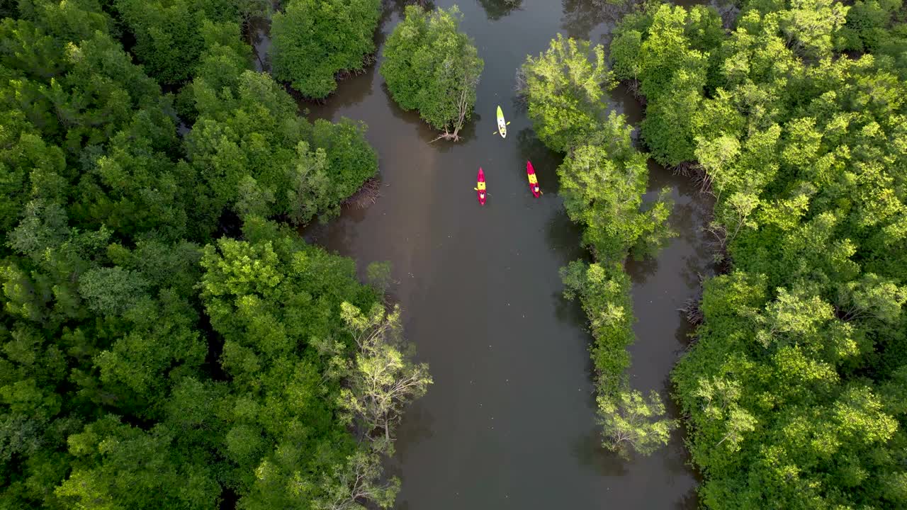 鸟瞰图的独木舟巡航通过河流和热带森林与日落天空的倒影在水视频下载
