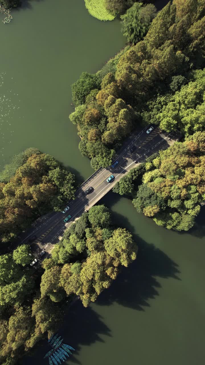 鸟瞰图的道路通过湖泊和树木区域视频素材