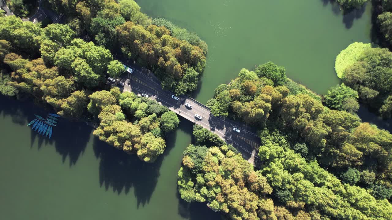 通过湖泊和树木区域的道路的空中俯瞰视频素材
