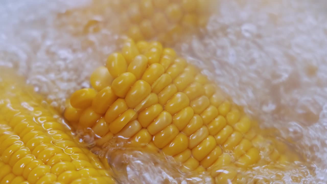 玉米棒放在滚烫的热水里。玉米已经成为世界许多地区的主食，玉米的总产量超过了小麦和水稻。视频素材