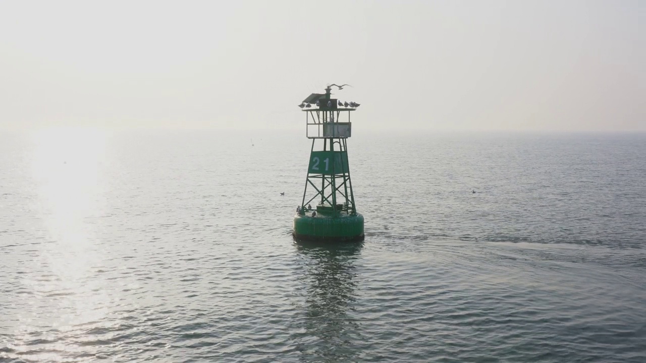 韩国仁川西海浮标和海鸥视频下载