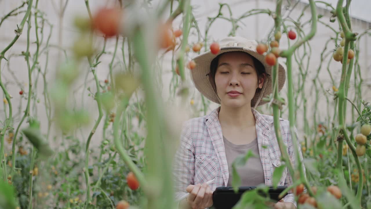 亚洲农民在温室里使用数码平板电脑视频素材