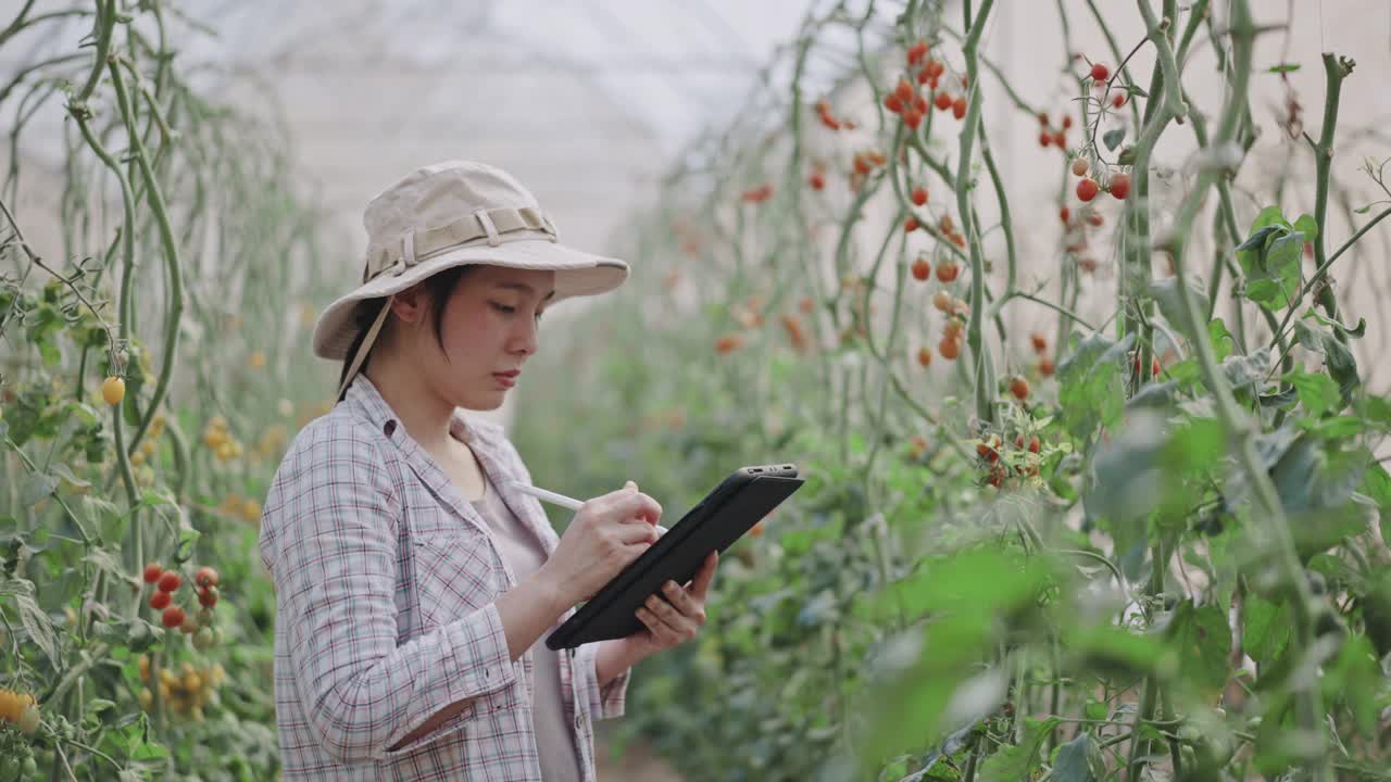 亚洲农民在温室里使用数码平板电脑视频素材