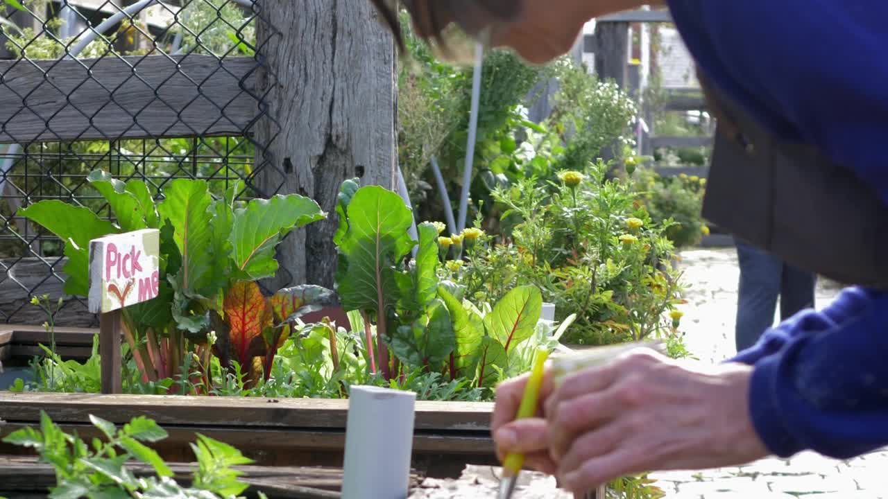 社区花园中的妇女视频素材