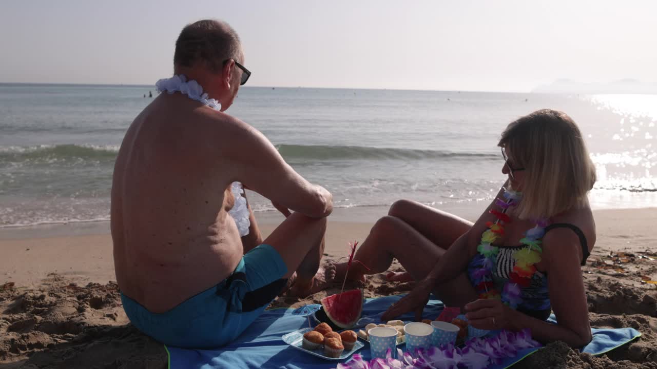快乐的老夫妇在海滩上野餐视频素材